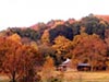 Scenic Cabin in Tennessee